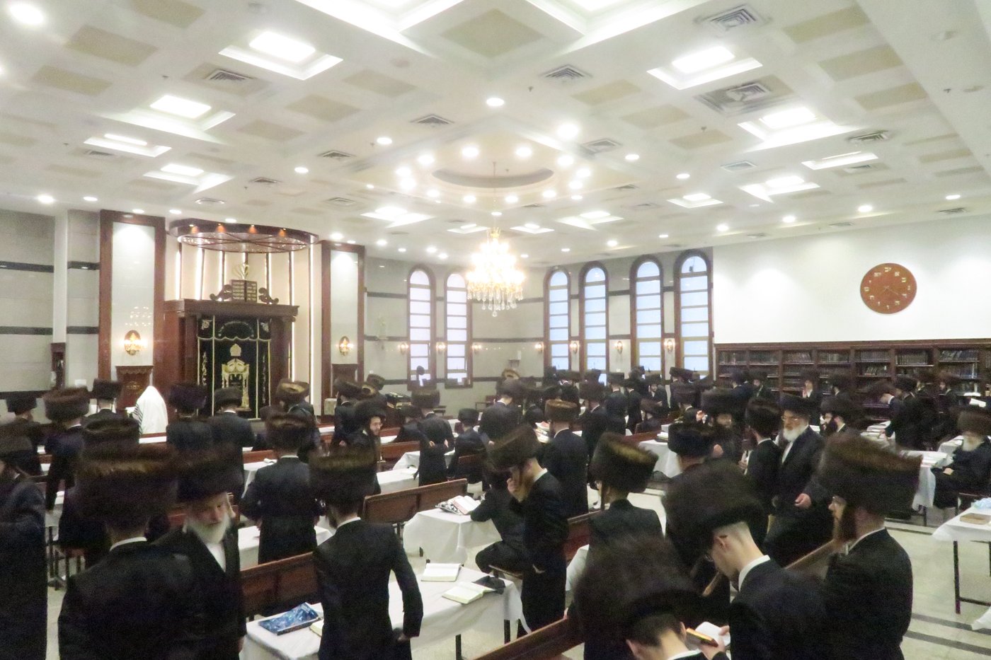 שבת התאחדות לאברכי נדבורנה במודיעין עילית