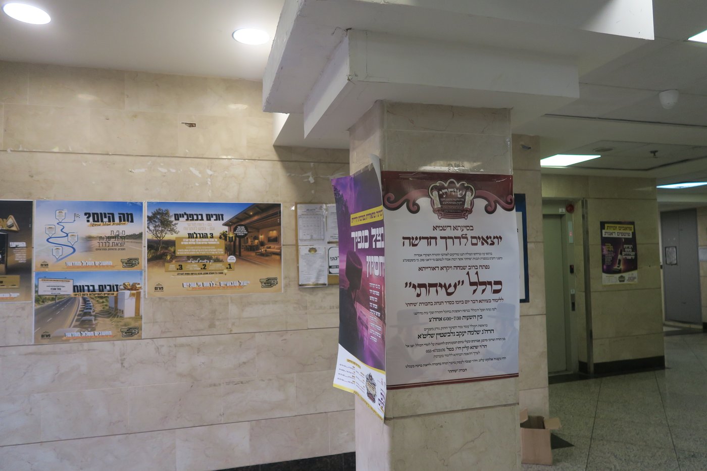 שבת התאחדות לאברכי נדבורנה במודיעין עילית