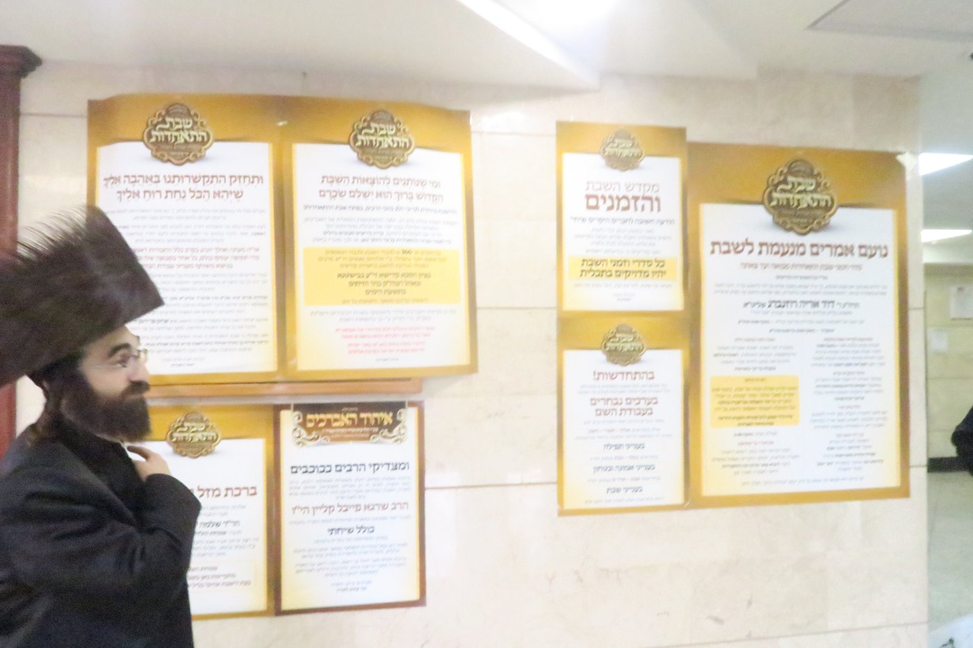 שבת התאחדות לאברכי נדבורנה במודיעין עילית