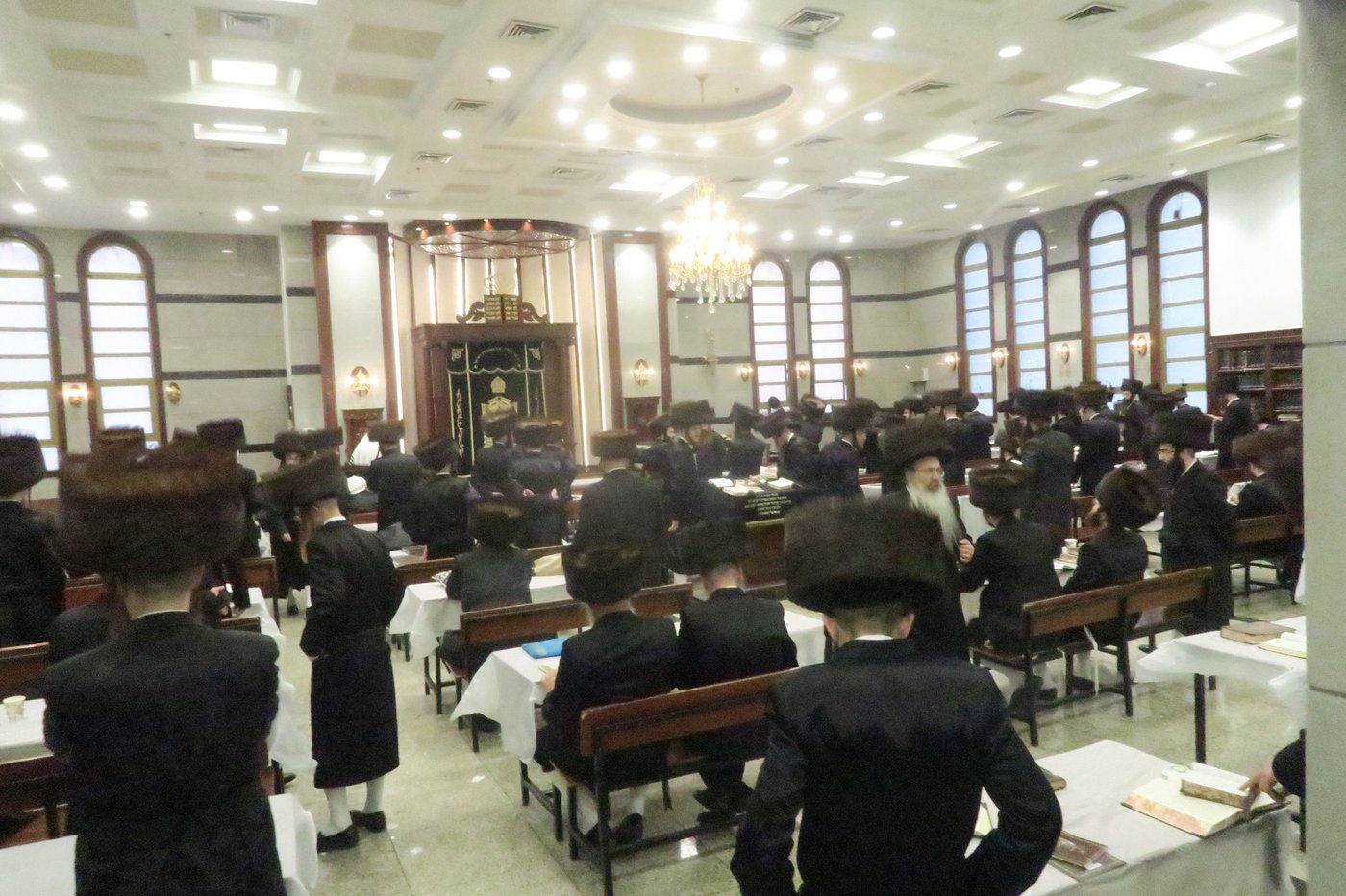 שבת התאחדות לאברכי נדבורנה במודיעין עילית
