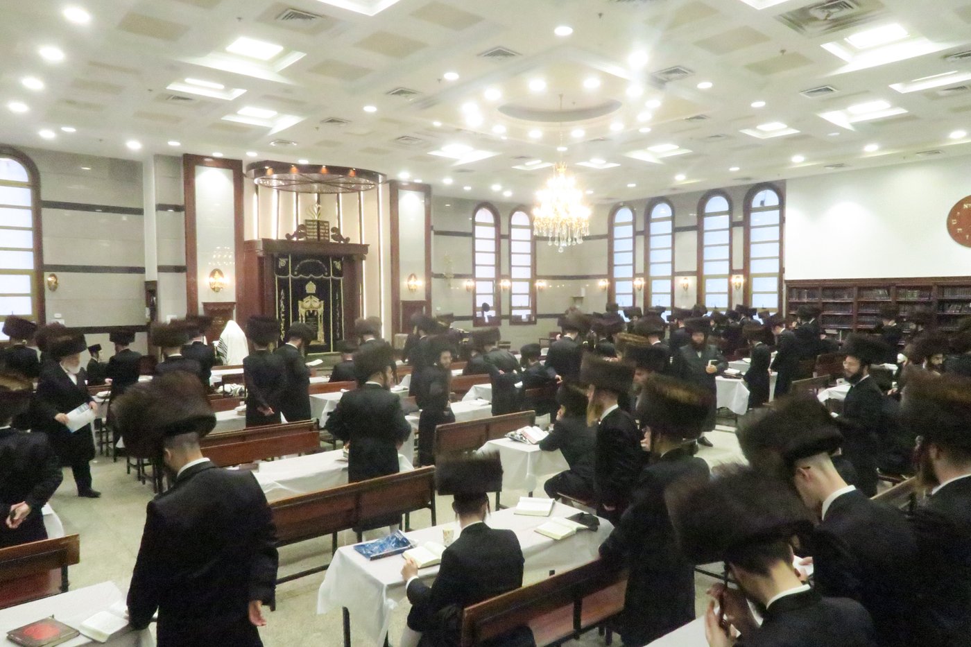 שבת התאחדות לאברכי נדבורנה במודיעין עילית