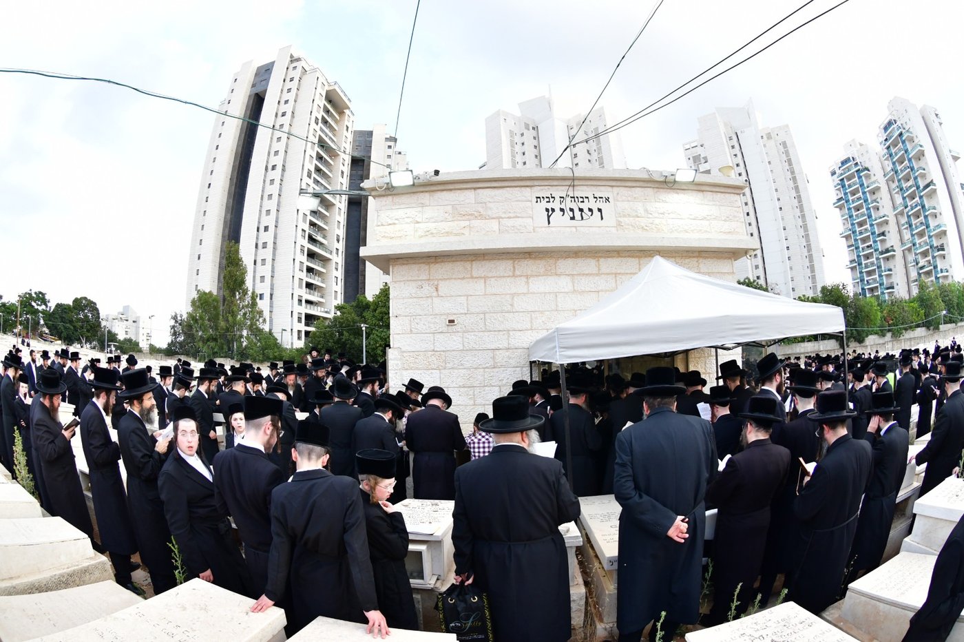 האדמו"ר מסערט ויזניץ בתפילה על ציון אביו זצ"ל