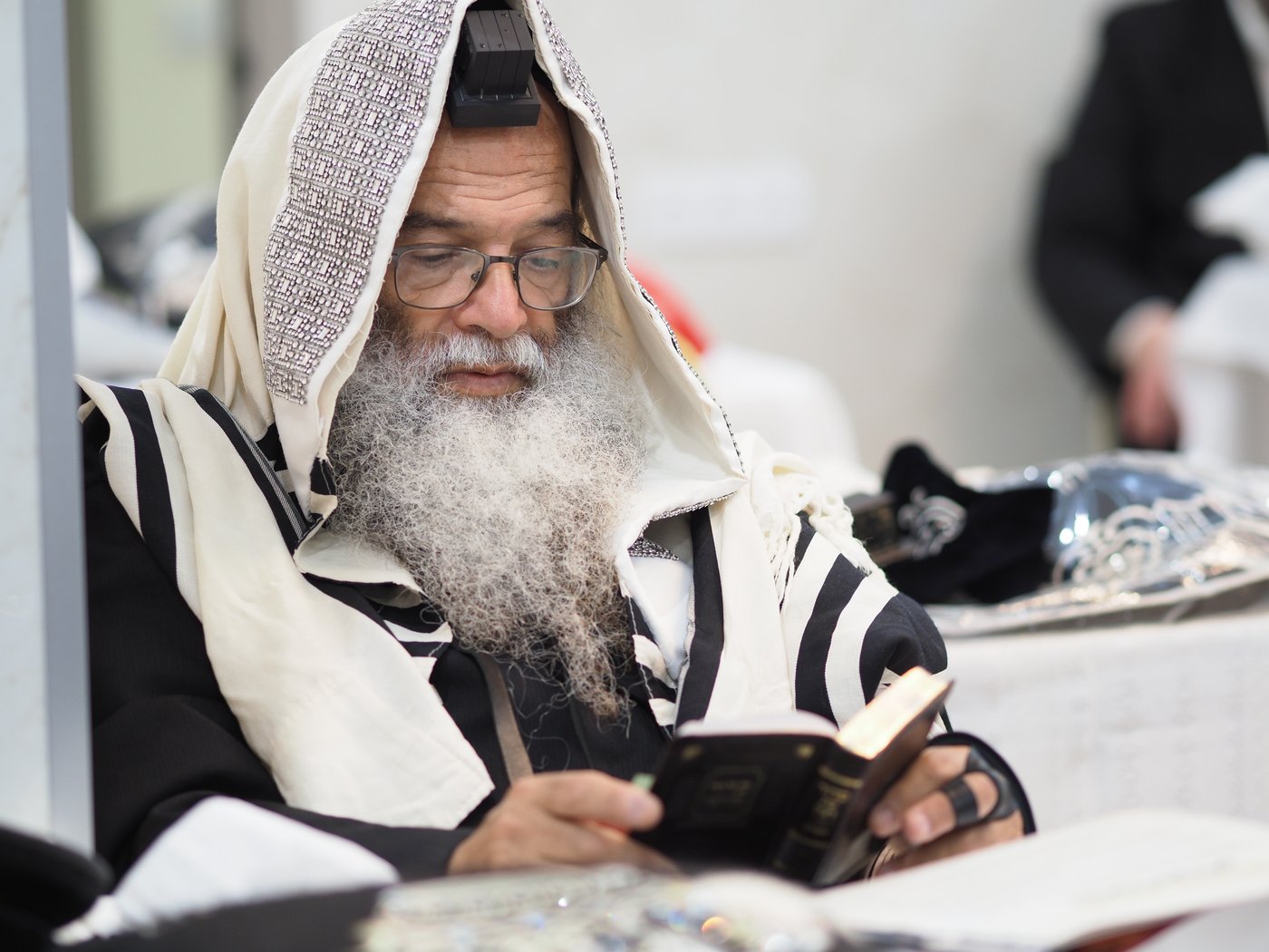 הילולת הרה"ק רבי שלמה מקרלין בעיירה לודמיר