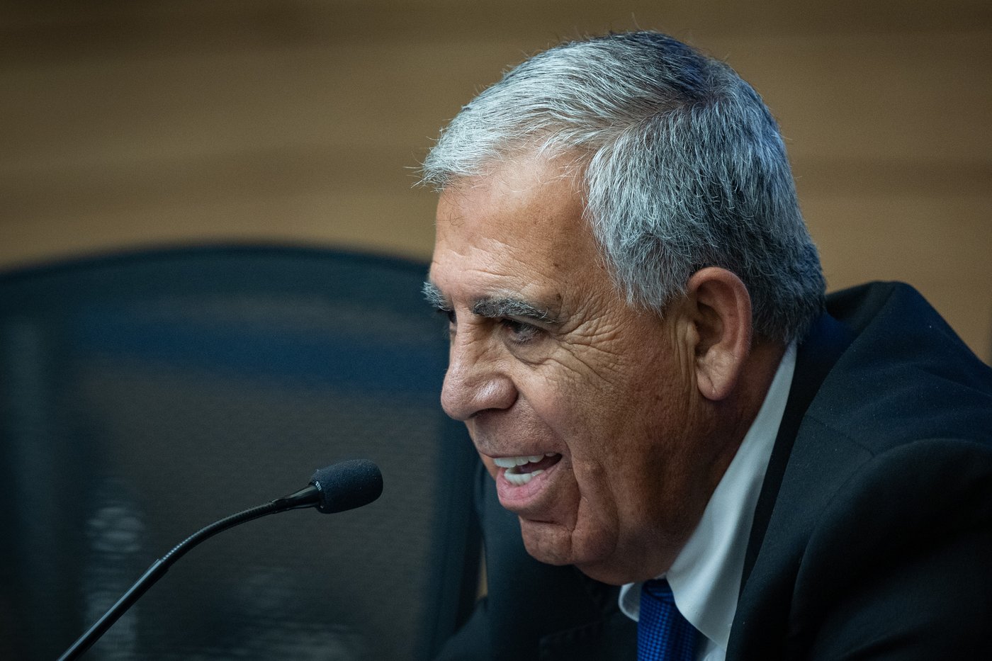 מיקי לוי