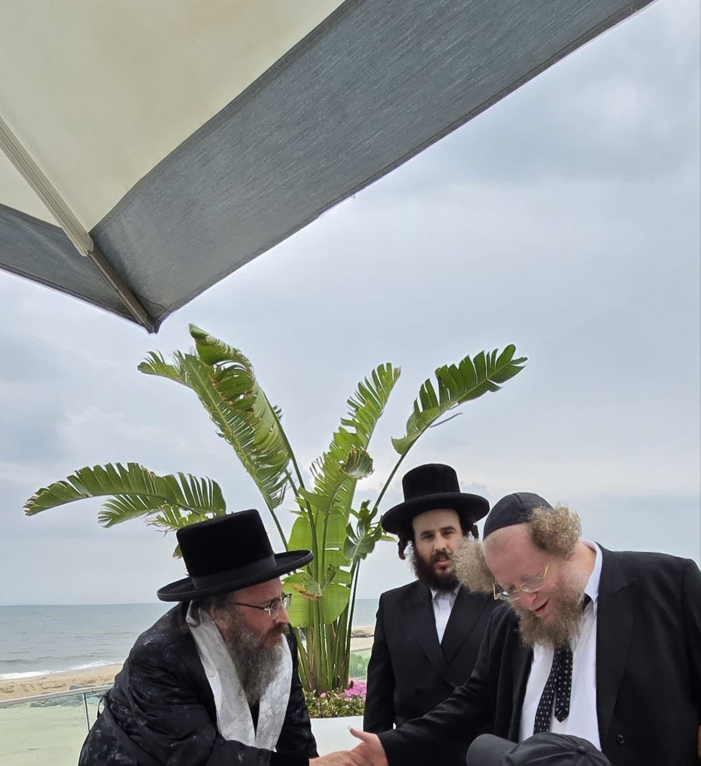 'קדיש' על הסנאטור | 'זיידל'ע' עם כל הנייעס והחשיפות של השבוע