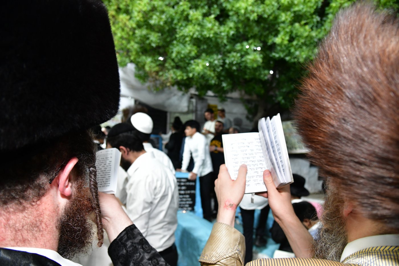 הילולת האר"י בצפת