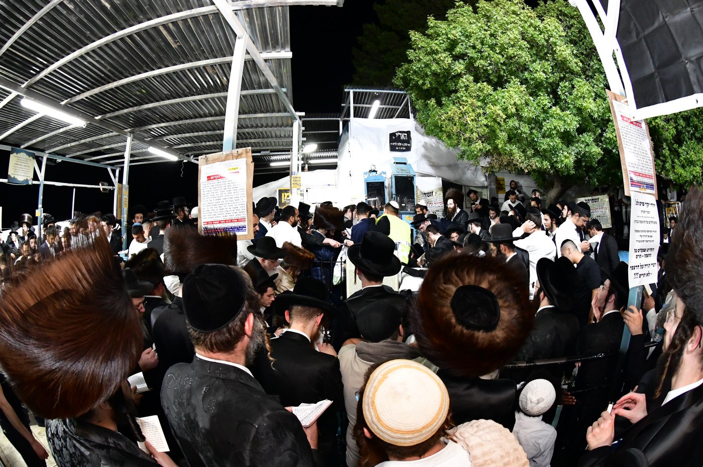 הילולת האר"י בצפת