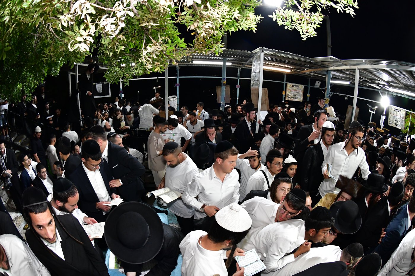 הילולת האר"י בצפת
