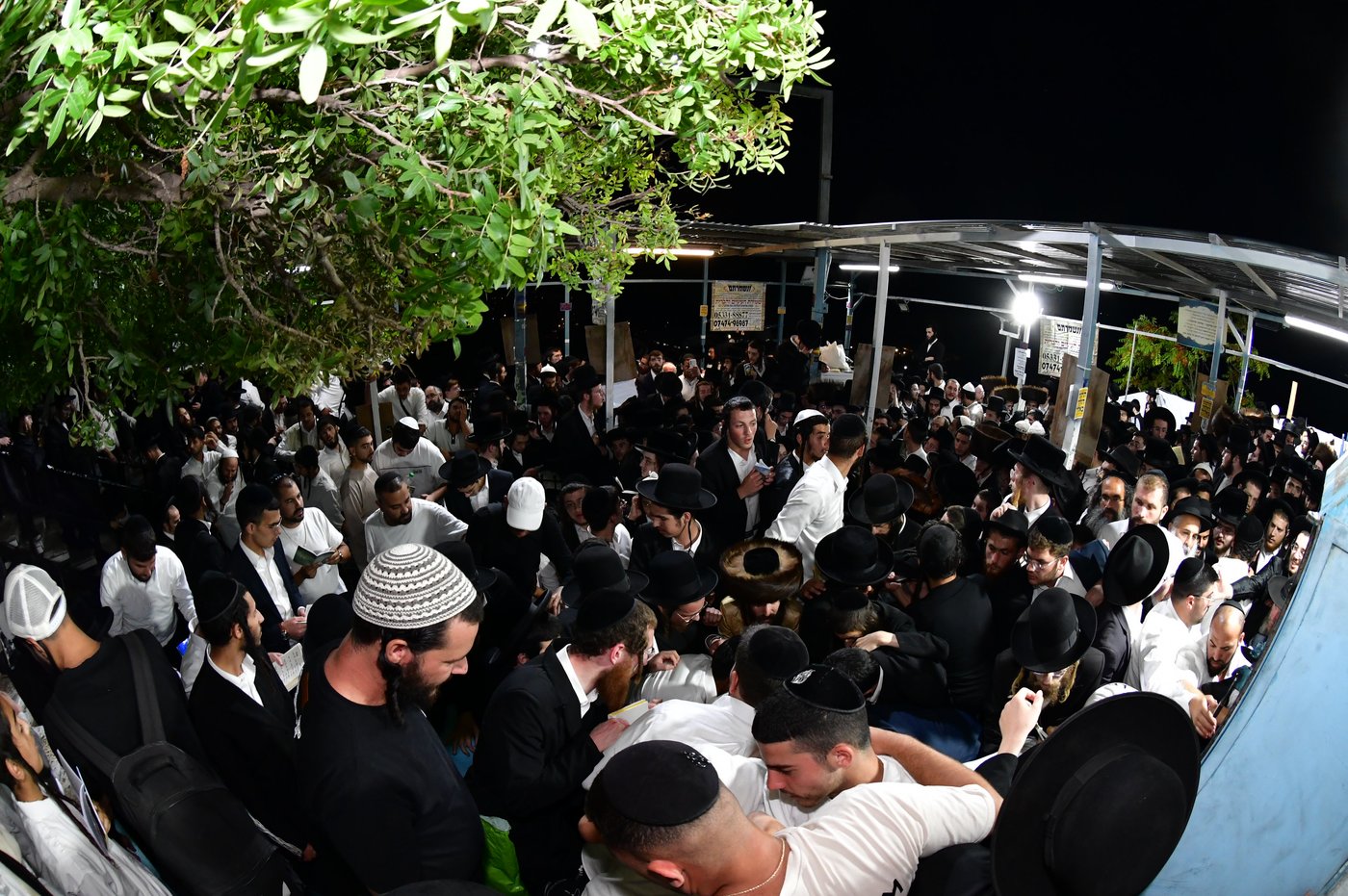 הילולת האר"י בצפת