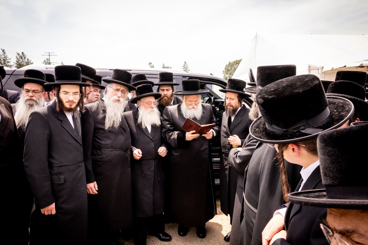 הילולא קדישא בבאבוב