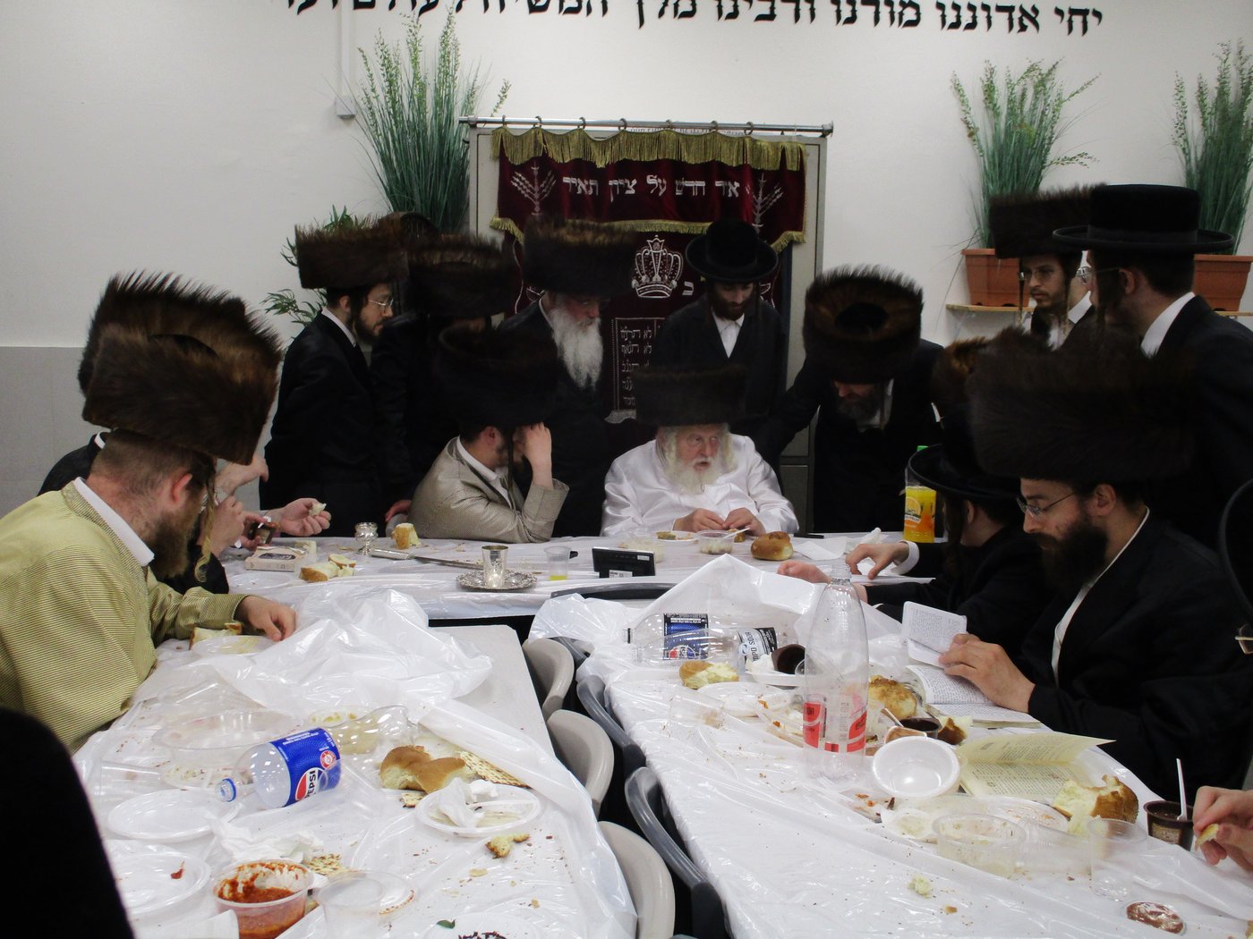 הגה"צ רבי אביש ציינווירט בצפת