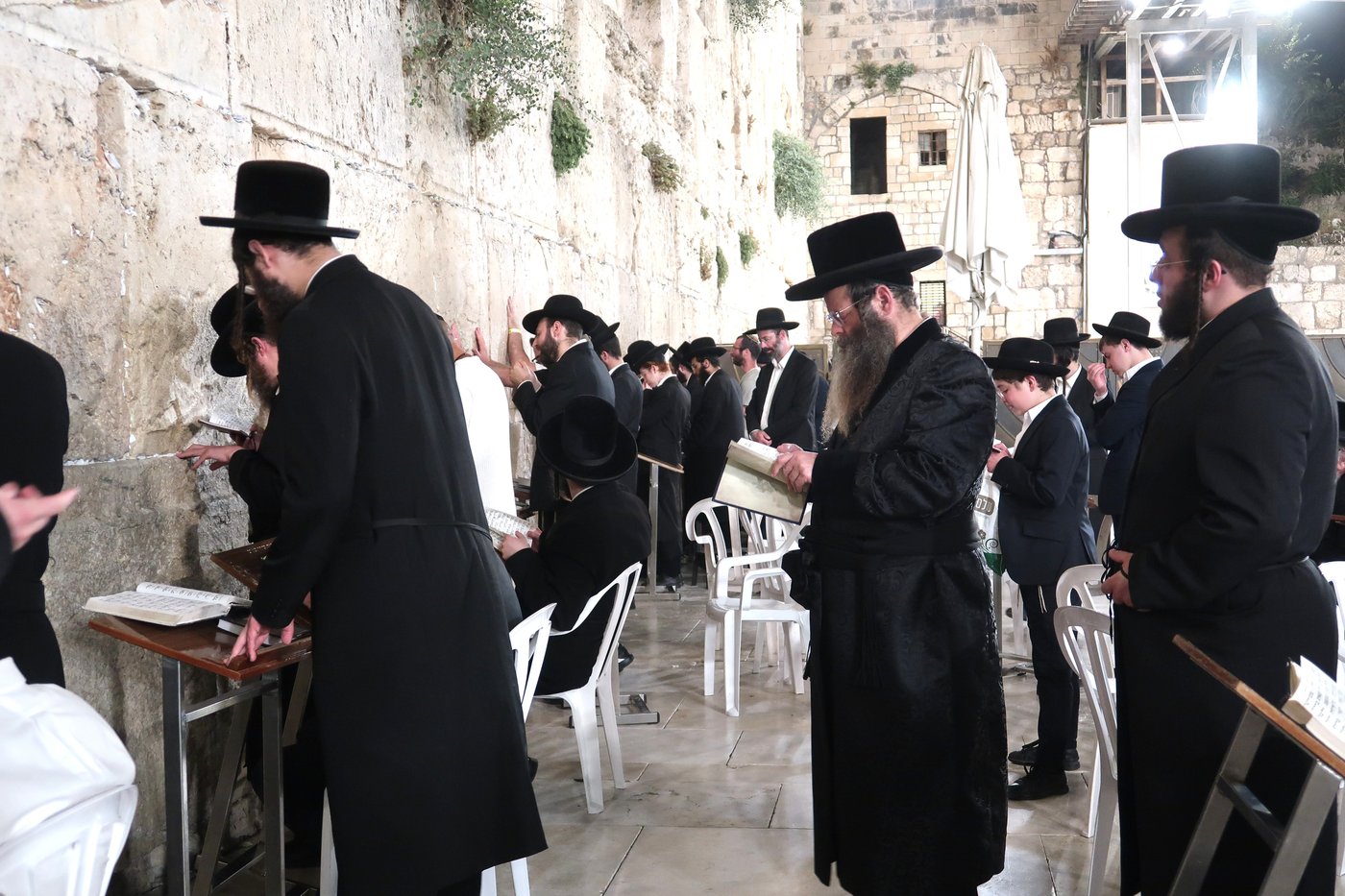 האדמו"ר מדז'יקוב גבעת זאב בתפילה בכותל המערבי