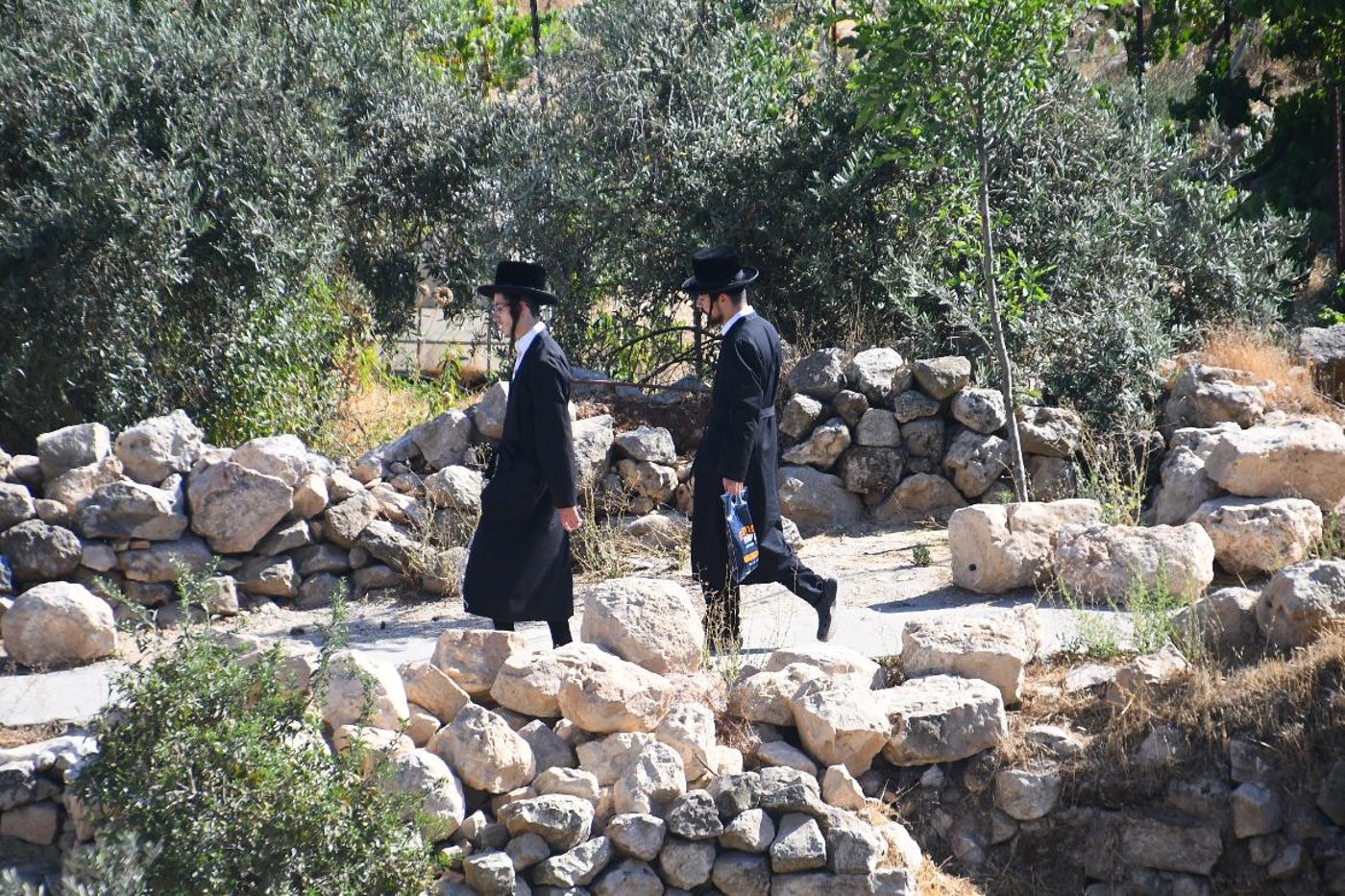 תשעה באב בחברון