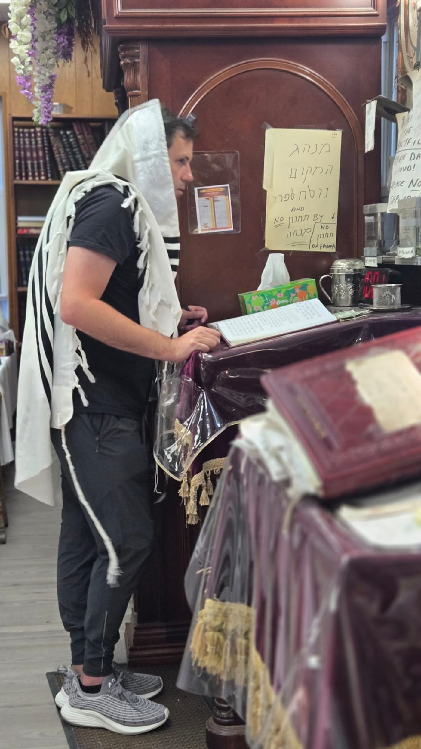 מראות ניקלשבורג בהרי הקאנטרי