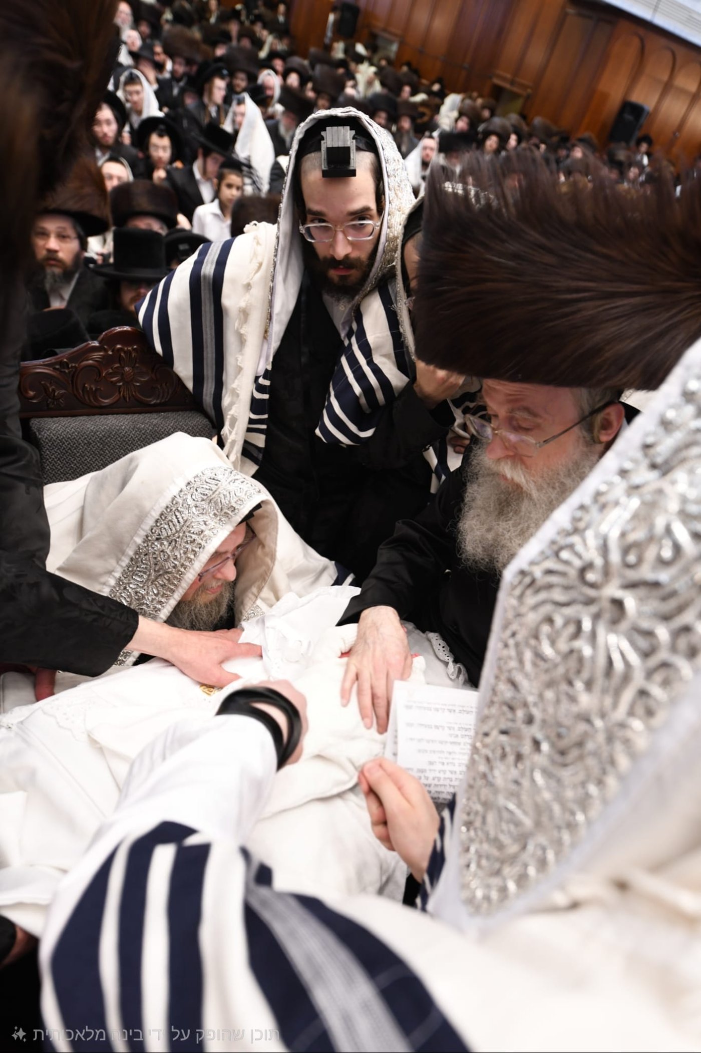שמחת הברית בחצה"ק בעלזא