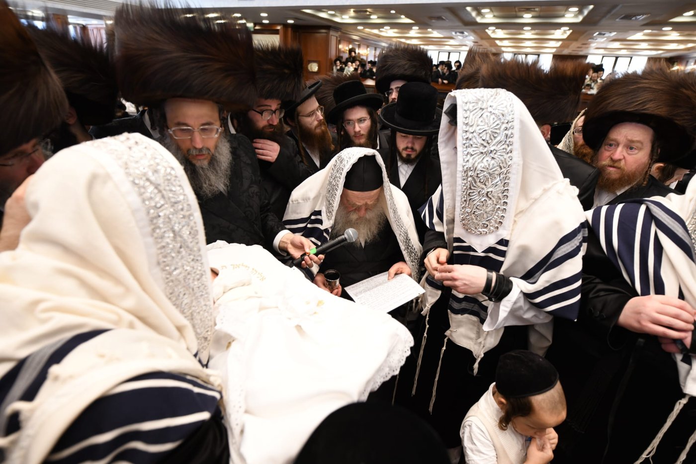שמחת הברית בחצה"ק בעלזא