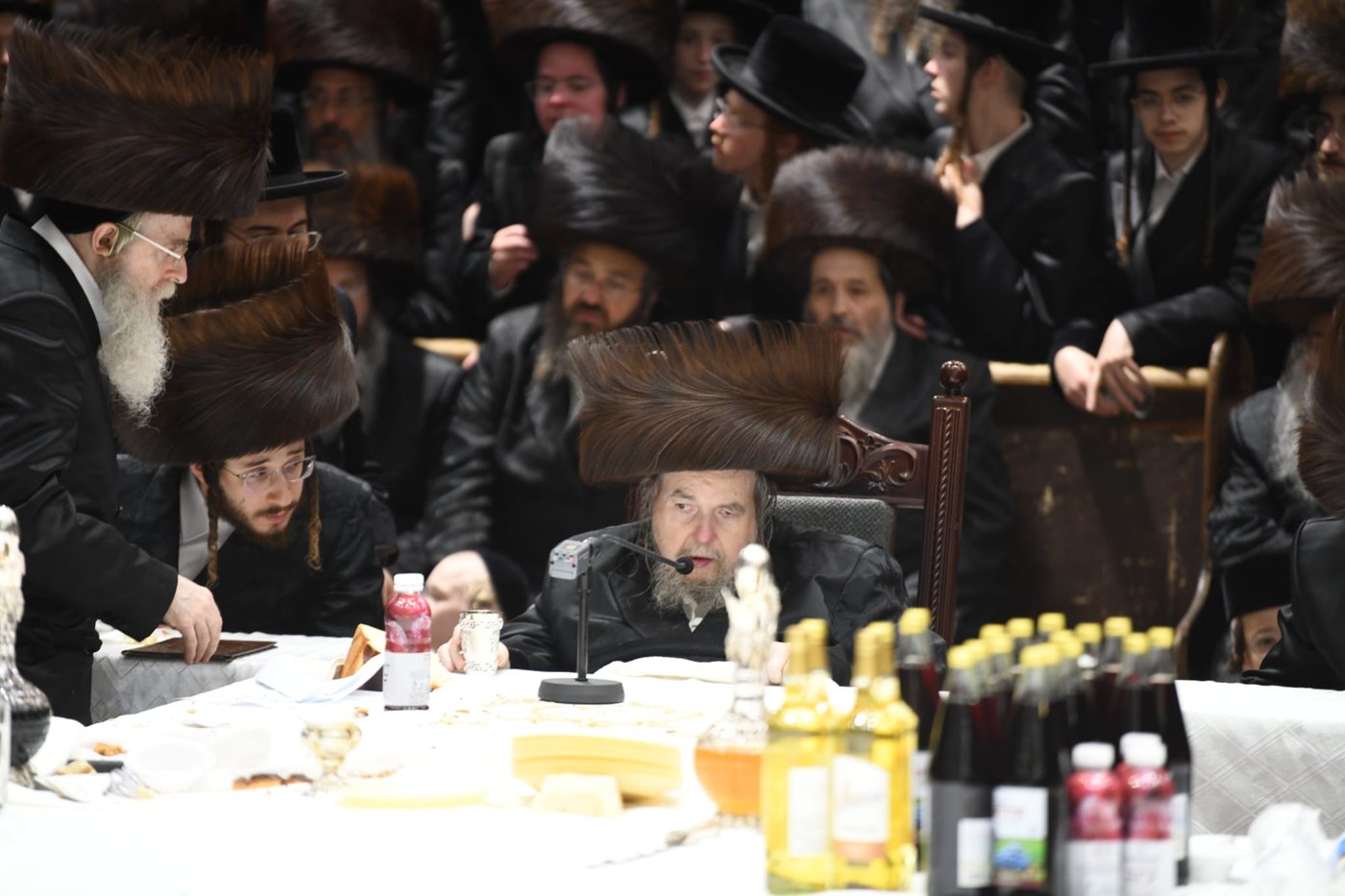 שמחת הברית בחצה"ק בעלזא