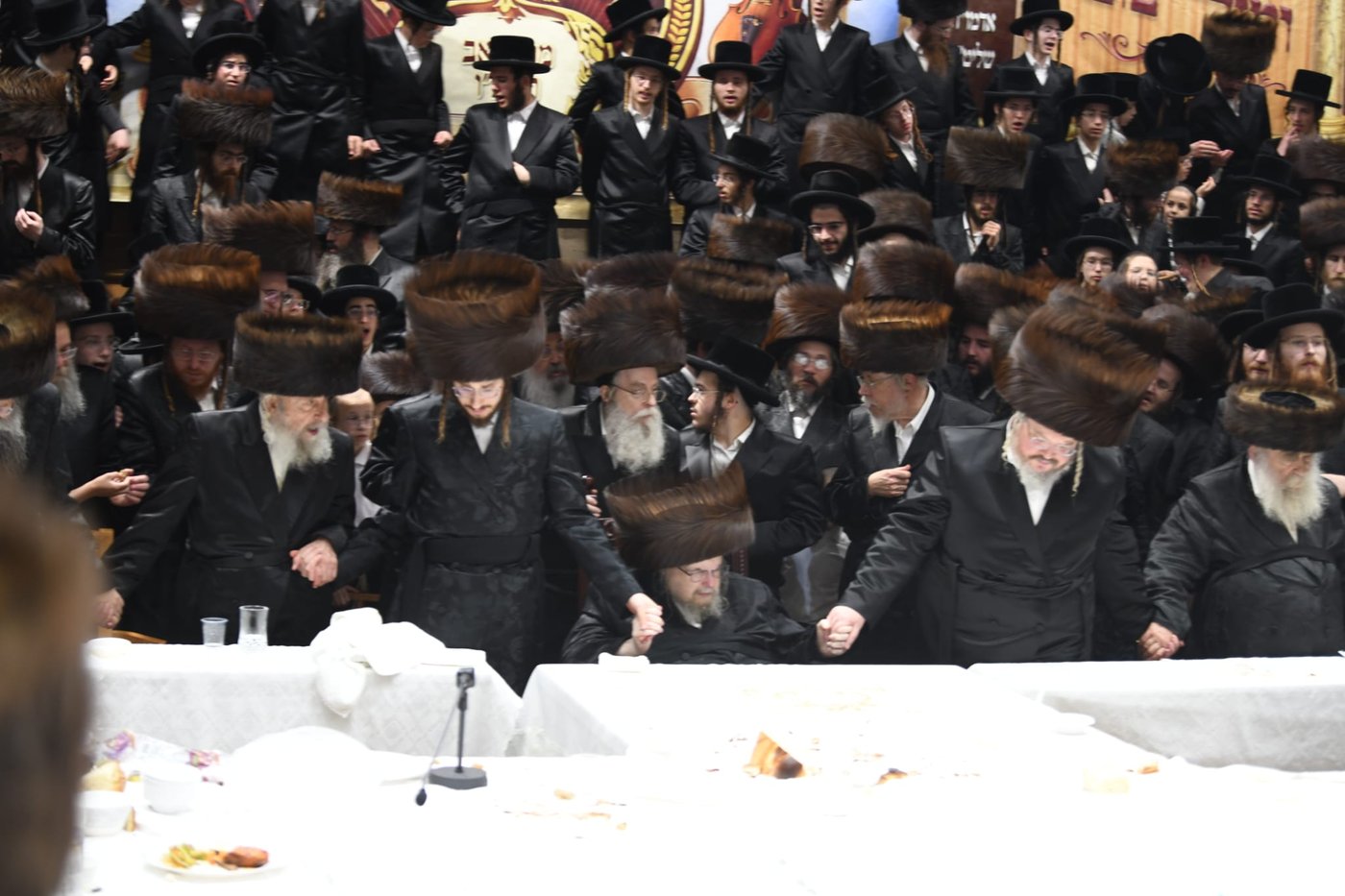 שמחת הברית בחצה"ק בעלזא