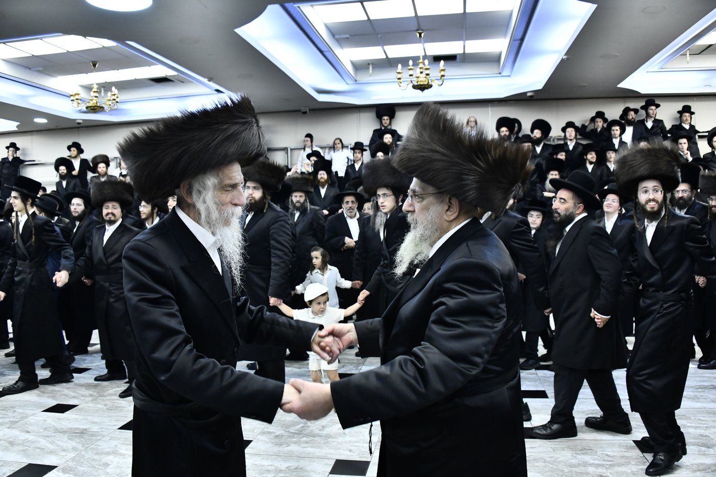 שמחת בית סטריקוב - זוויעהיל - לויעב