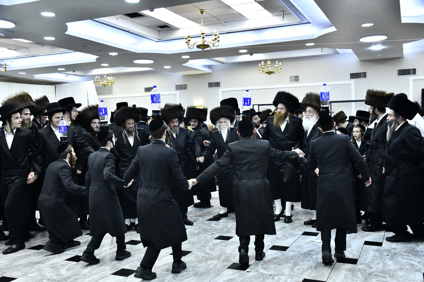 שמחת בית סטריקוב - זוויעהיל - לויעב