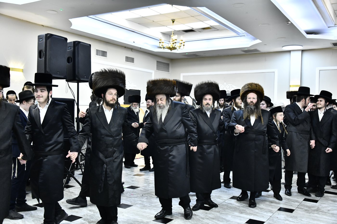 שמחת בית סטריקוב - זוויעהיל - לויעב