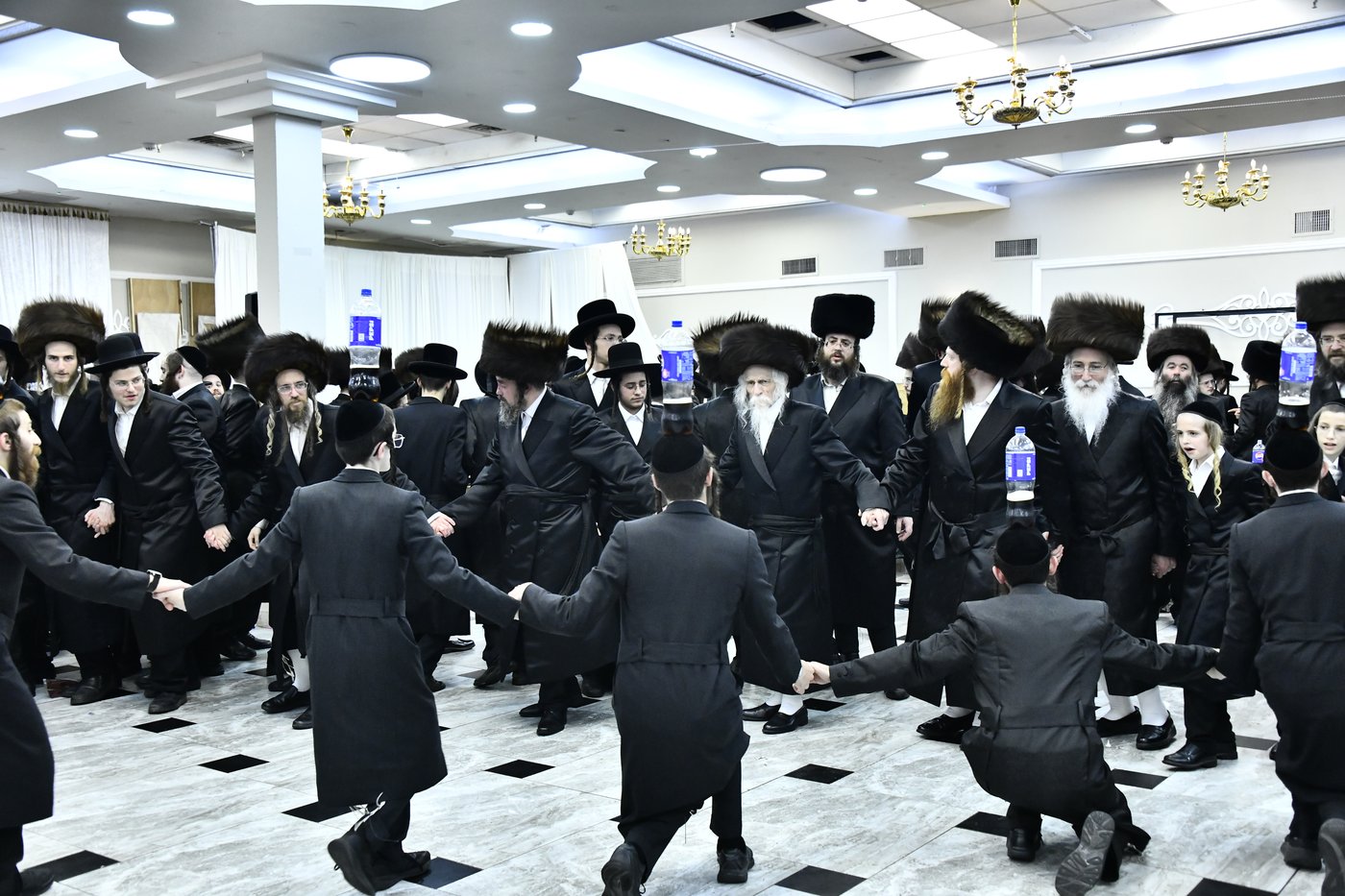 שמחת בית סטריקוב - זוויעהיל - לויעב
