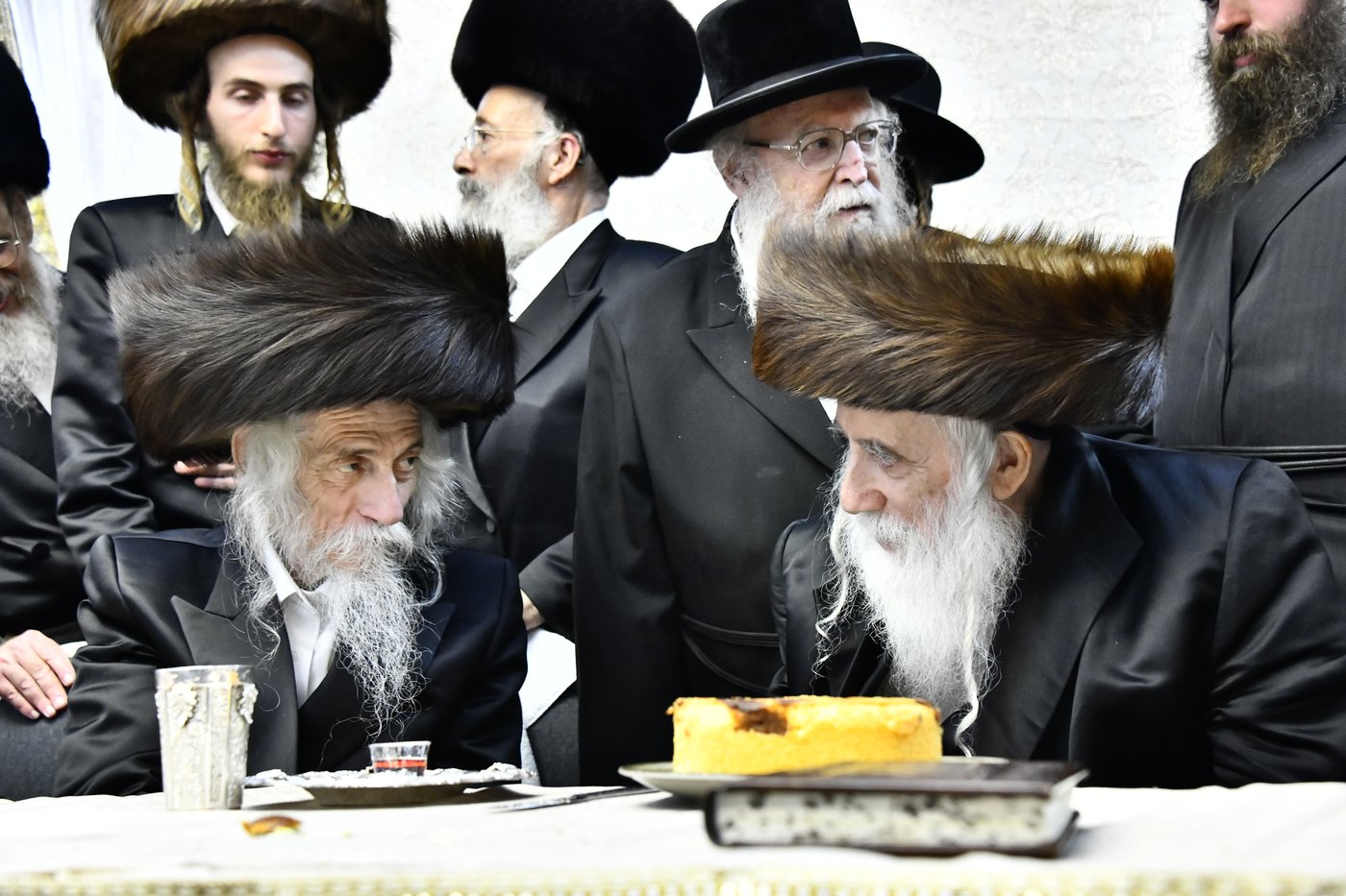 שמחת בית סטריקוב - זוויעהיל - לויעב