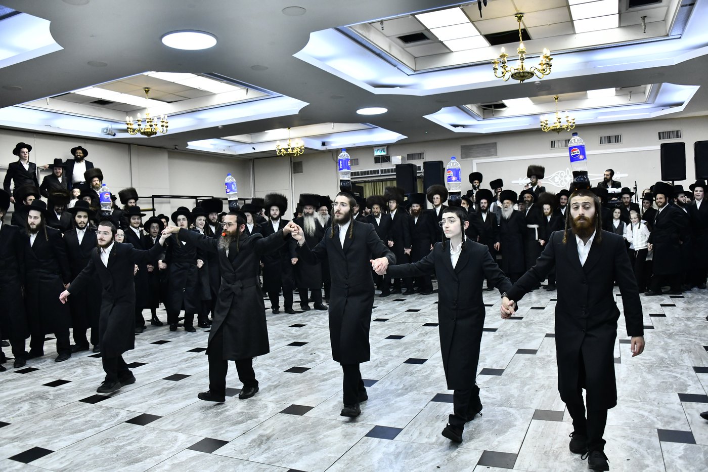 שמחת בית סטריקוב - זוויעהיל - לויעב