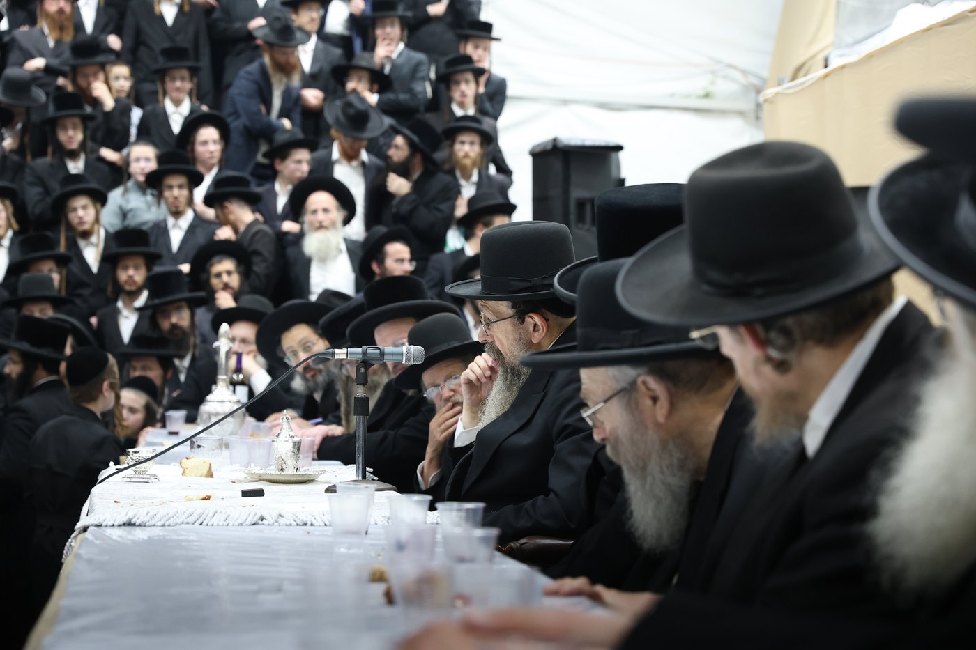 ט"ו אב בחצה"ק תולדות יהודה
