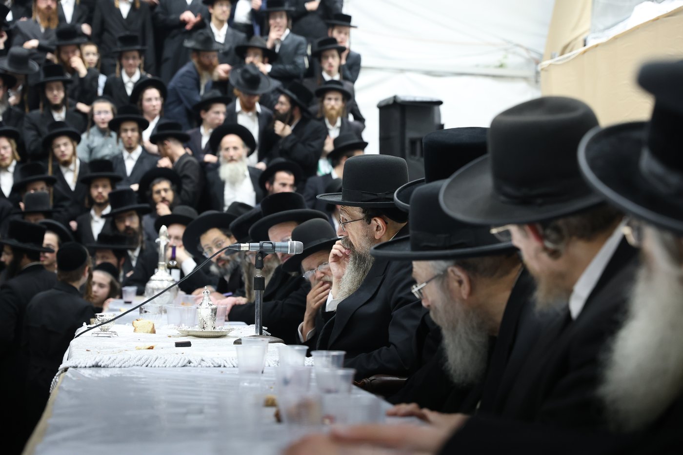 ט"ו אב בחצה"ק תולדות יהודה