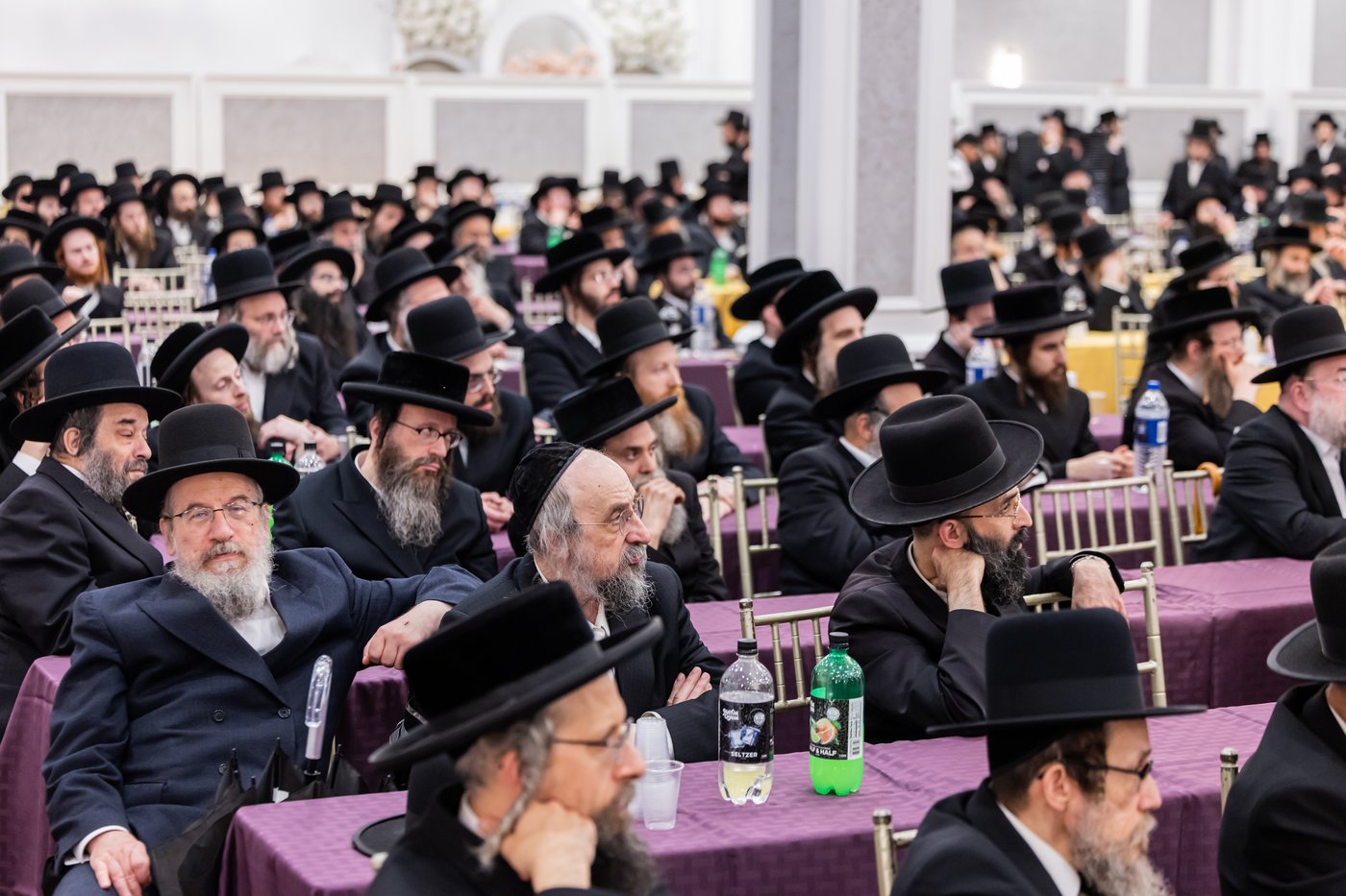 כינוס השדכנים בסאטמר