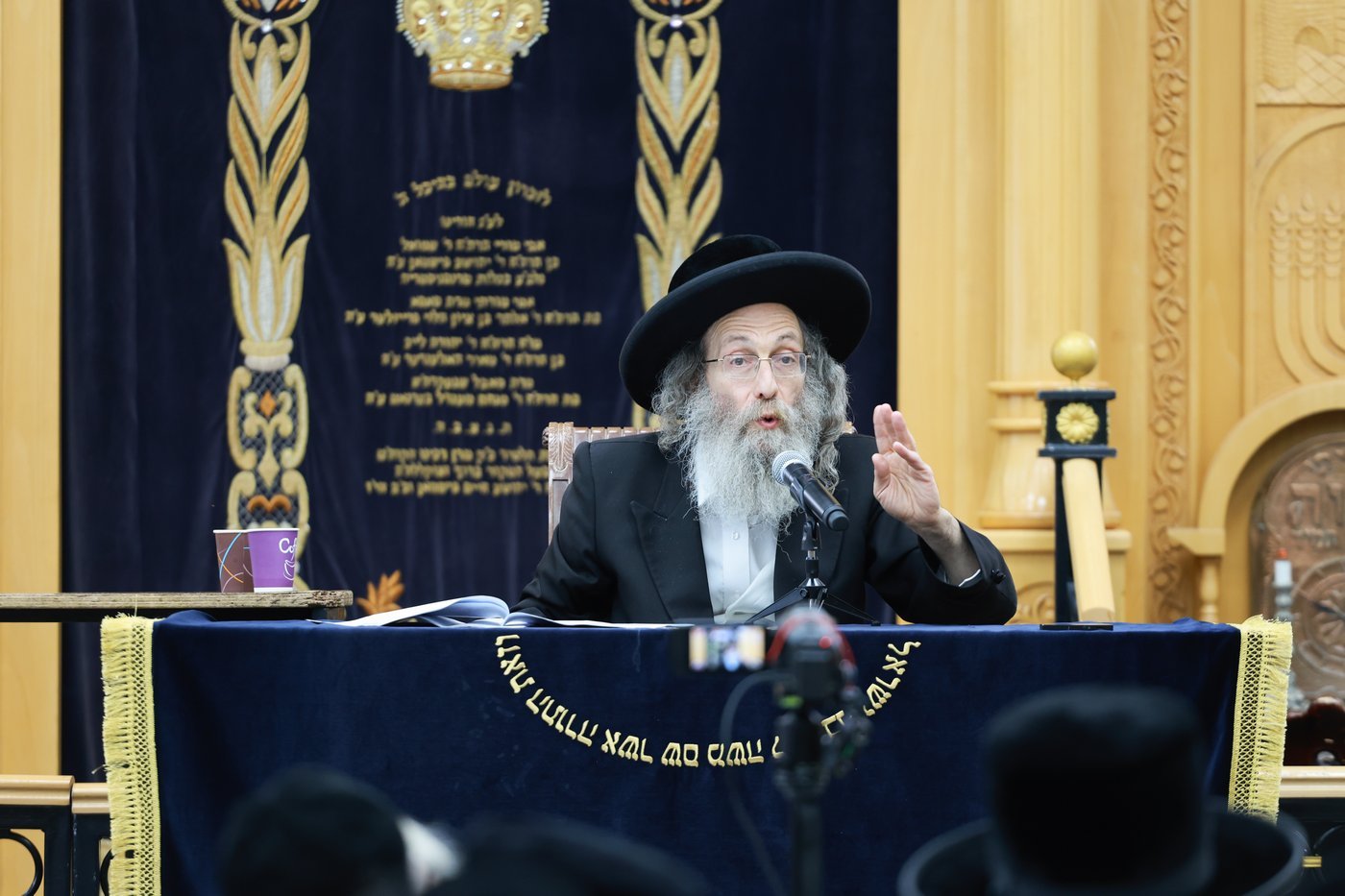 הרה"צ רבי אלימלך בידרמן בהתוועדות ליל שישי בחיפה
