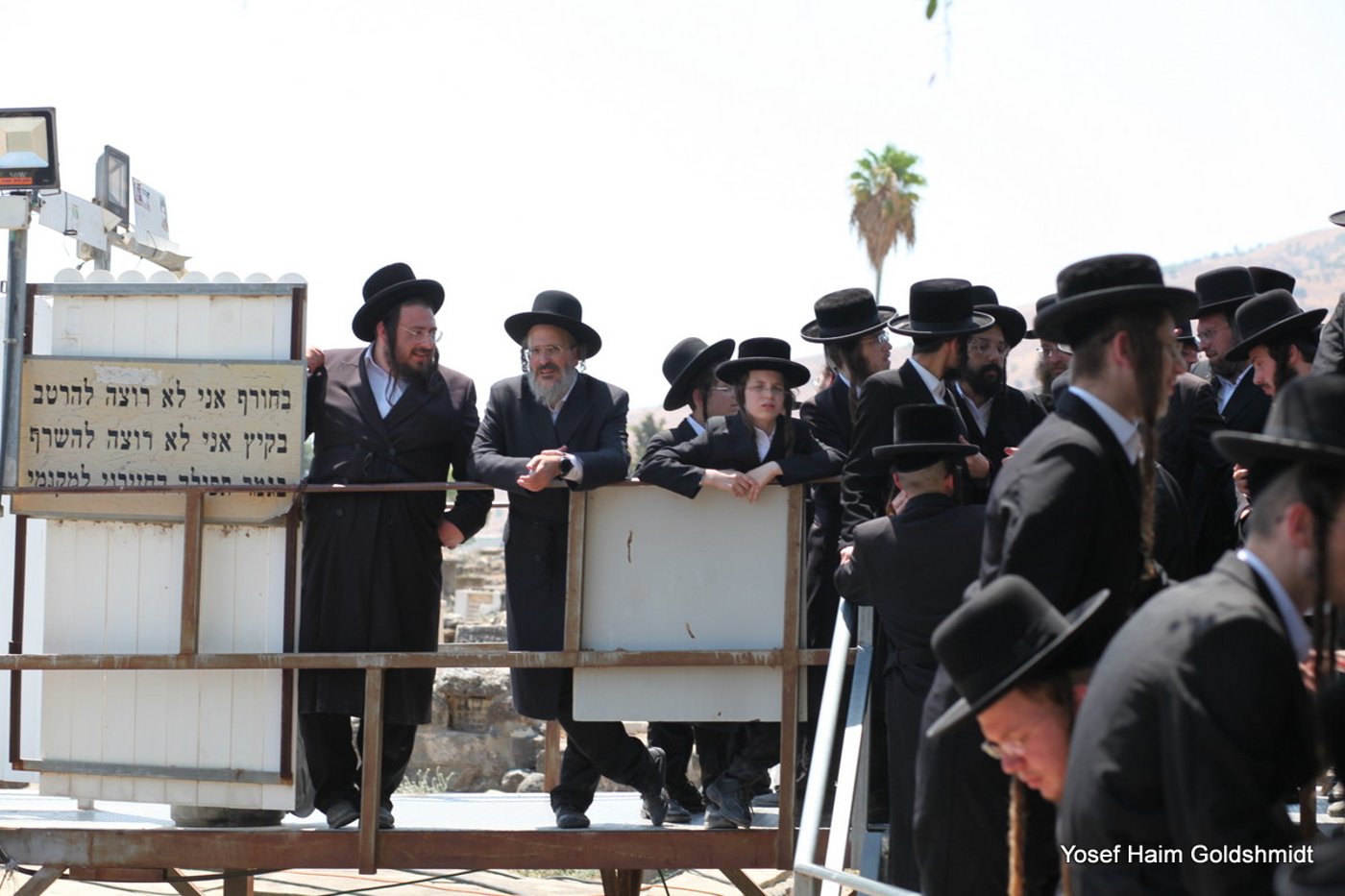 האדמו"ר מאמשינוב בטבריה