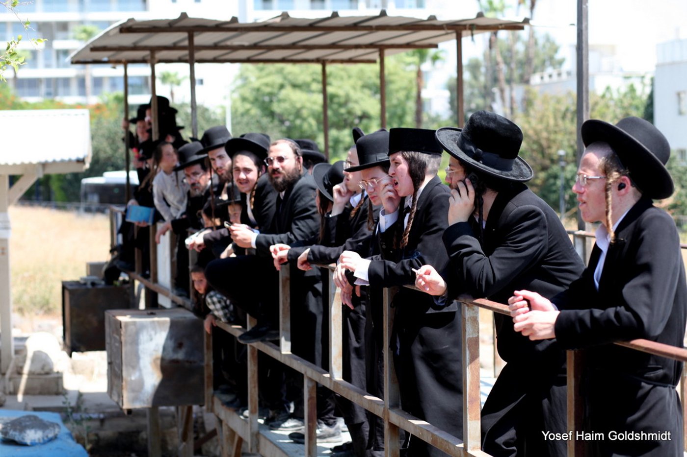 האדמו"ר מאמשינוב בטבריה