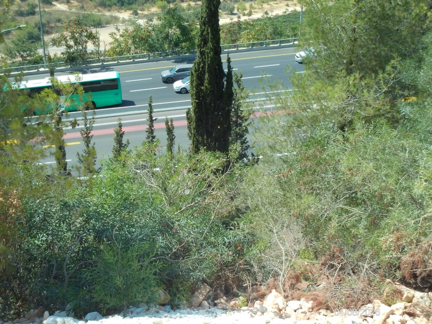 ההפגנה בהר המנוחות 
