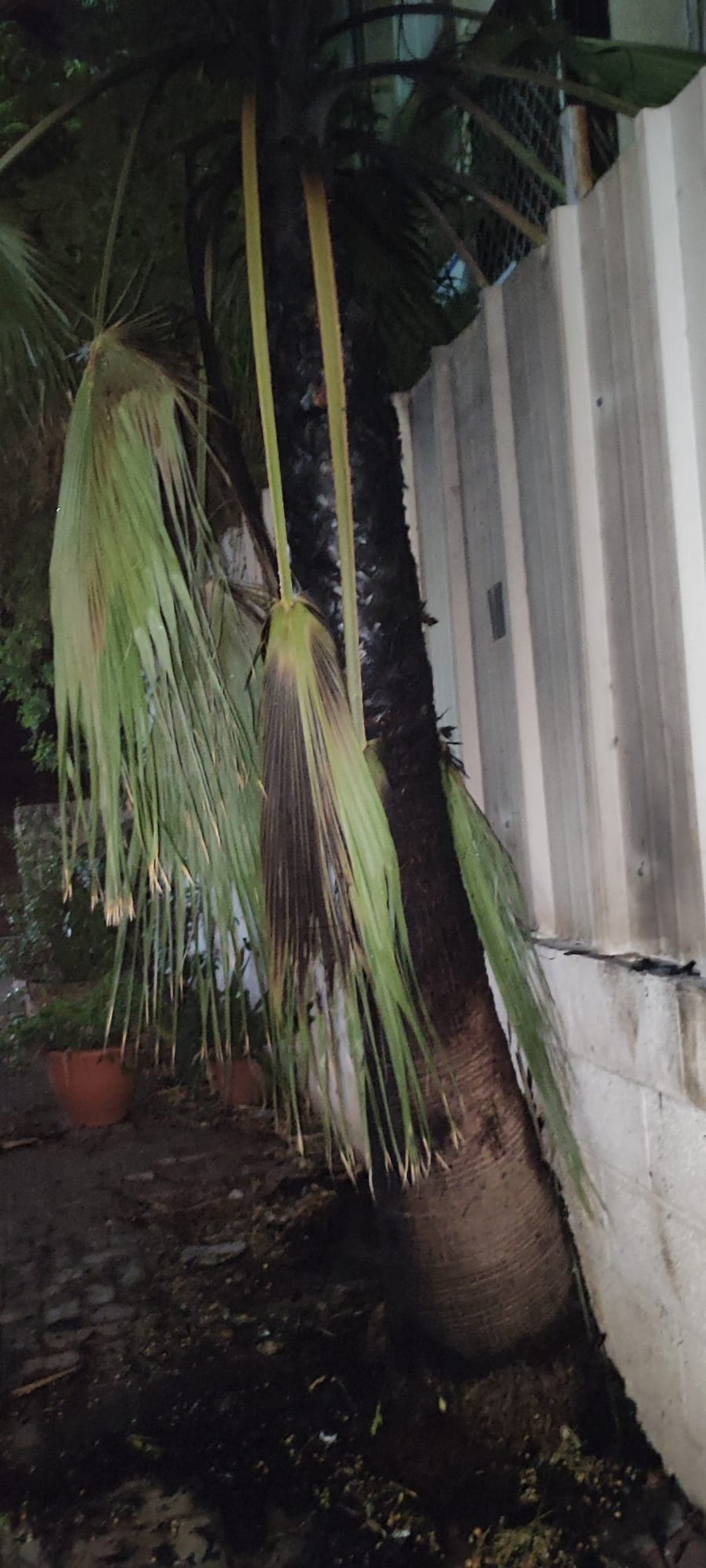חשד להצתה: דיירים פונו בעקבות שריפות חשודות ברמת גן