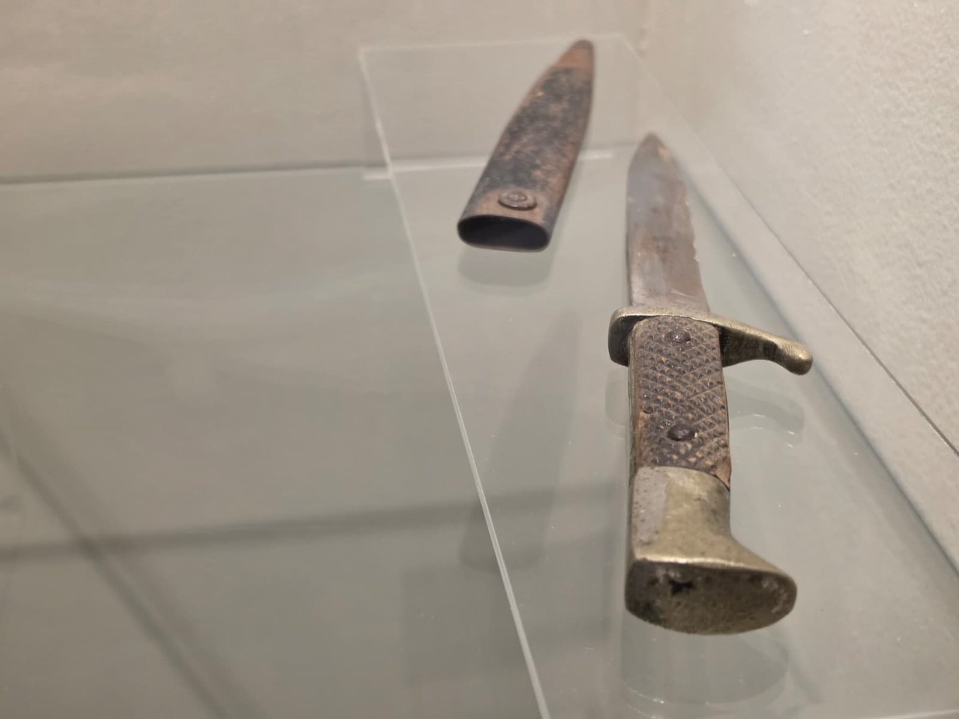 מוזאון הרעות במצודת כח צמוד לנחל קדש
