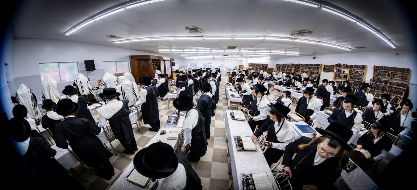 האדמו"ר מבאבוב 45 בביקור בקאנטרי