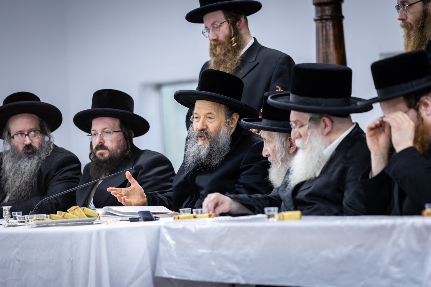 האדמו"ר מבאבוב 45 בביקור בקאנטרי
