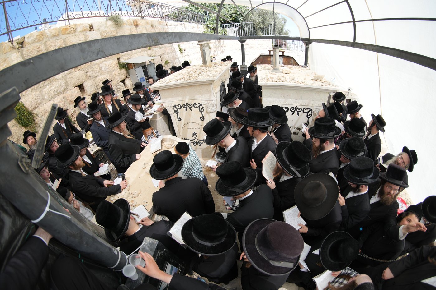 הילולא קדישא בשומרי אמונים