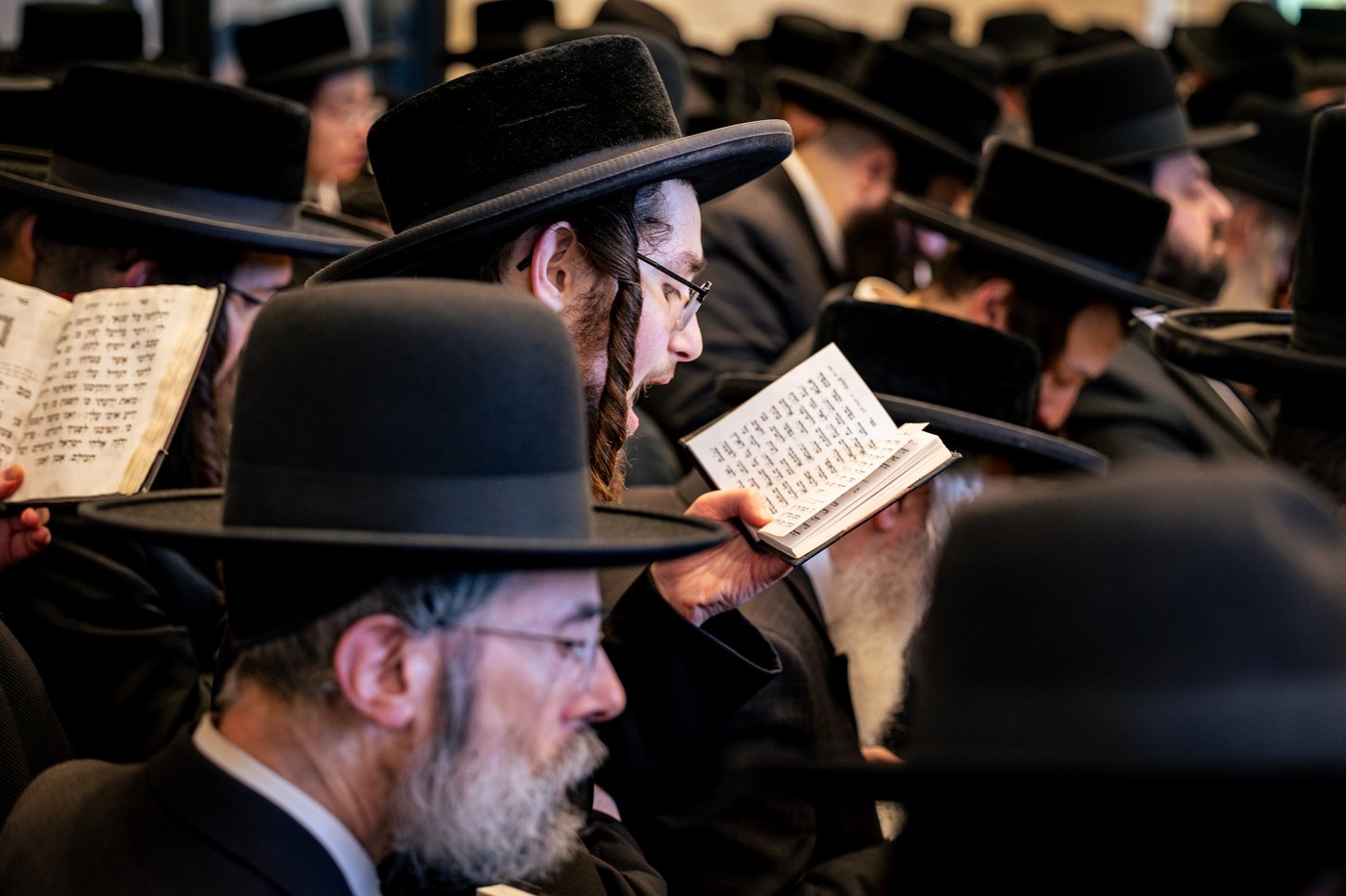 הילולא קדישא בטאהש