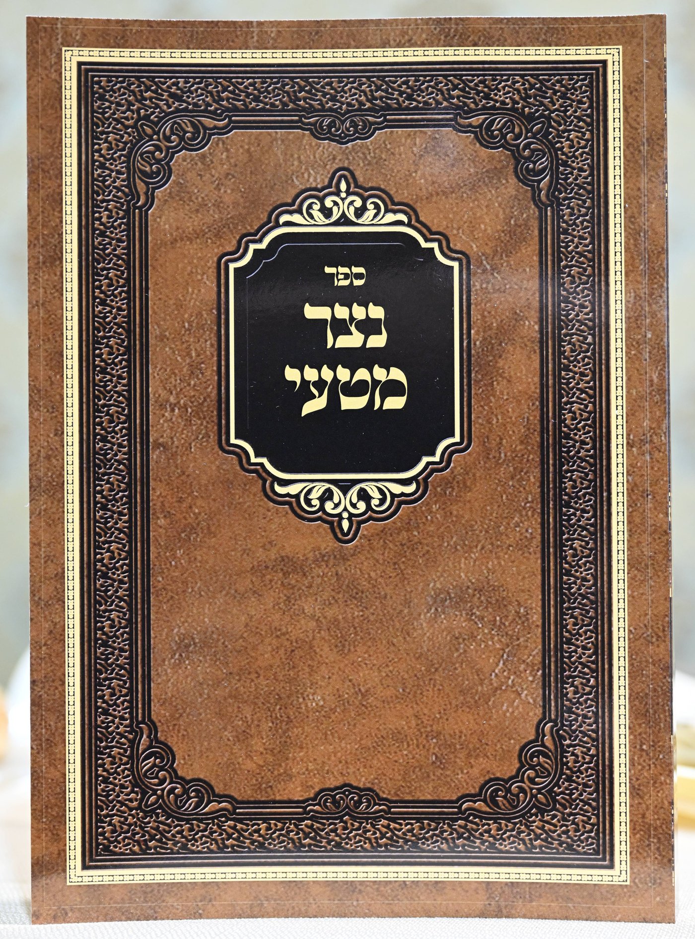 בר מצווה לנכד האדמו"ר מזוטשקא