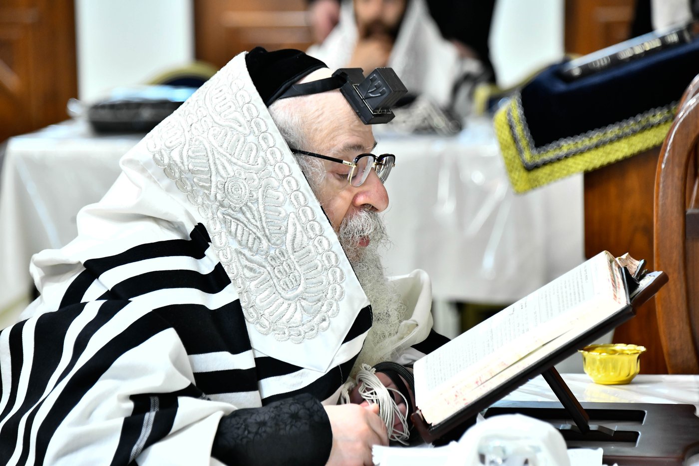 האדמו"ר מצאנז קלויזנבורג שבת בצפת