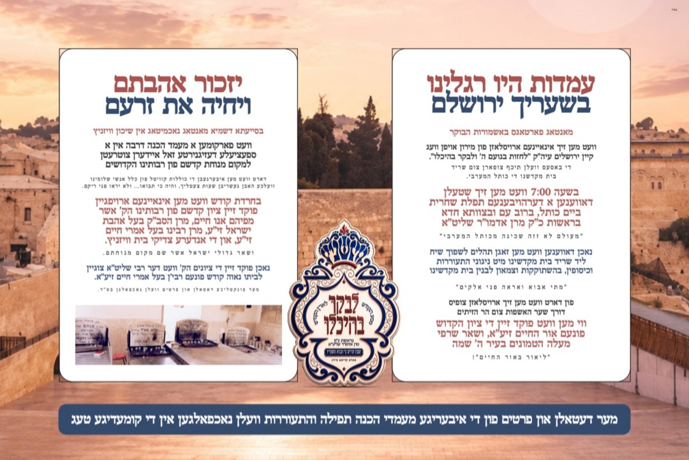 שני מטוסי ענק: האדמו"ר מויז'ניץ מונסי יגיע לארץ עם מאות תלמידים מצטיינים