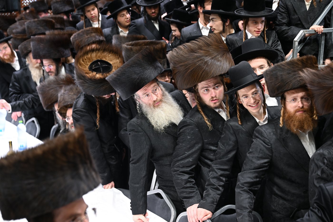 שמחת הברית בזוועהיל
