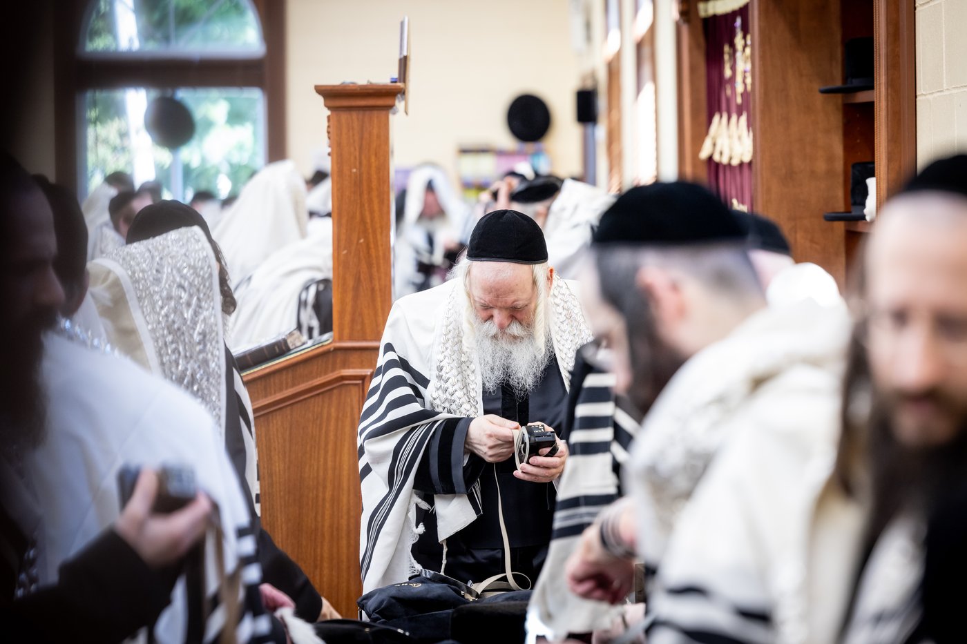 ר"ח אלול בצל האדמו"ר מבאבוב