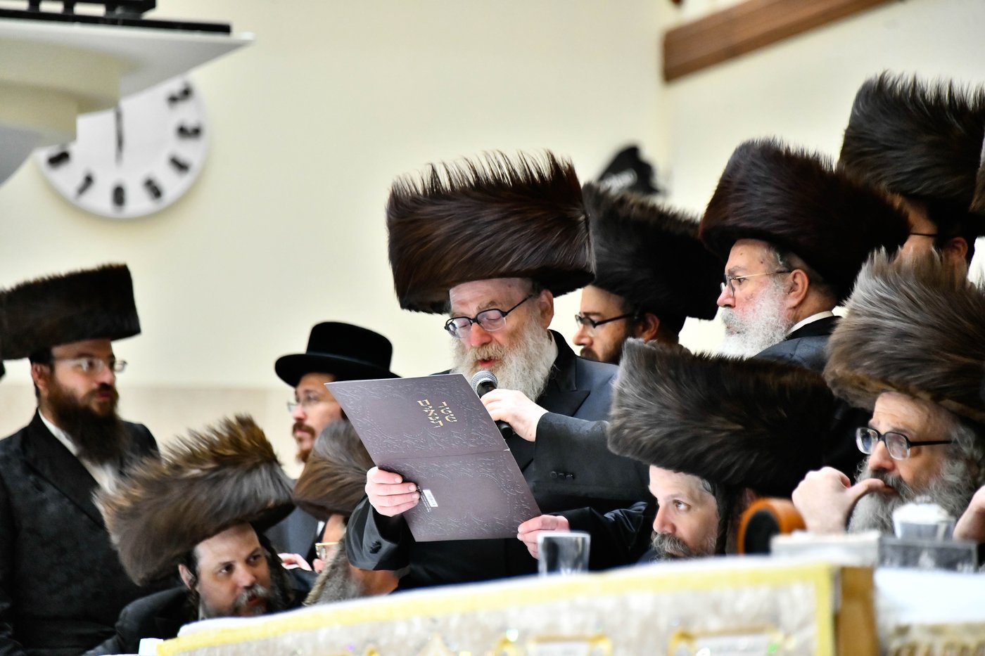 שמחת בית ויז'ניץ