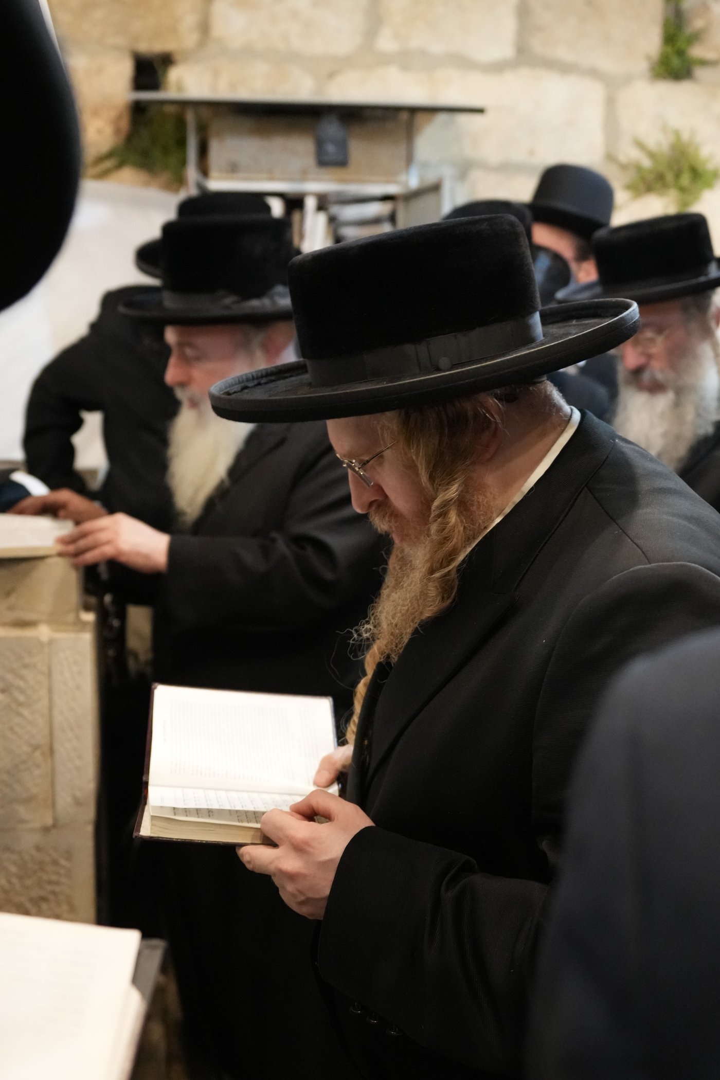 הילולא קדישא בשומרי אמונים