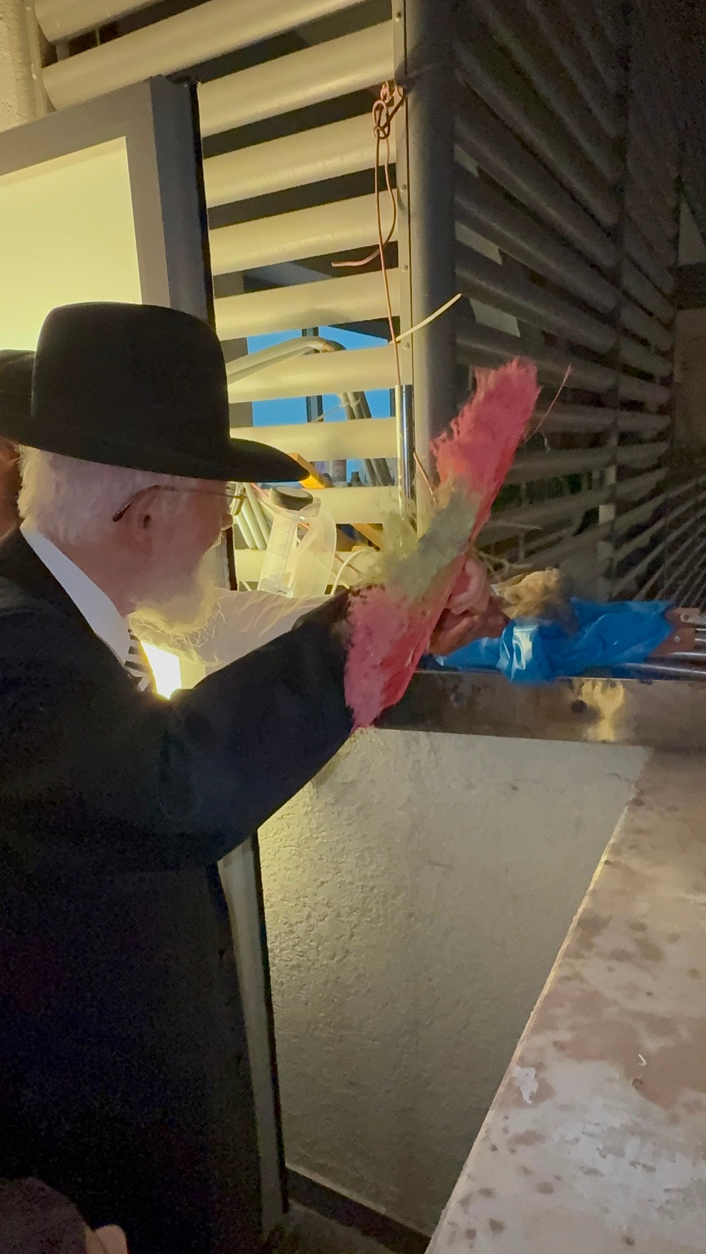 הגר"צ מאזוז בשילוח הקן