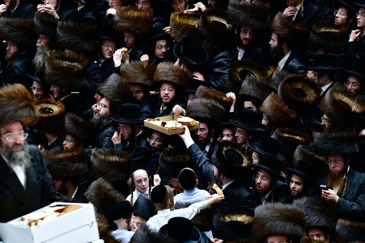 פדיון הבן בחצה"ק בעלזא